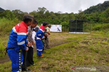 Dua elang ular dilepasliarkan di hutan Talaga Bodas Garut