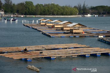 Pembangunan keramba jaring apung