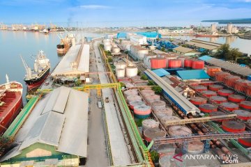 Ekspor CPO via Pelabuhan Dumai 4,75 juta ton terbesar di Sumatera