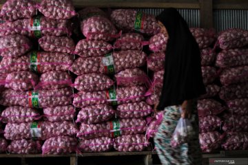 Harga bawang merah dan putih naik drastis