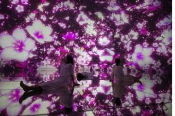 teamLab Planets, "museum tempat di mana Anda berjalan melewati air" di Tokyo, diubah oleh bunga sakura untuk waktu terbatas di musim semi ini. dapat dilihat mulai 1 Maret 2020.