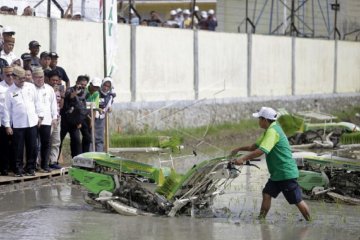 Foto - Mentan saksikan program gerakan tanam padi di Tibawa-Gorontalo
