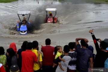 Balap traktor sawah di Takalar