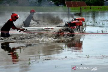 Balapan traktor sawah di Takalar