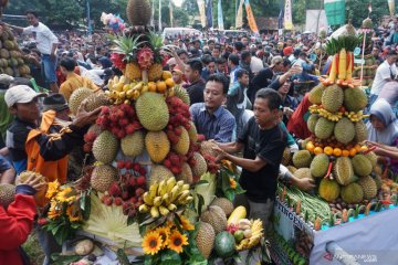 Serunya festival durian Lolong di Pekalongan