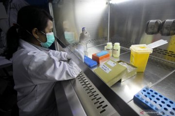 Virus corona berukuran 400-500 mikrometer? Ini faktanya