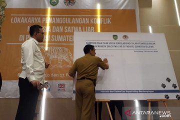 BKSDA: Populasi harimau di Sumatera Selatan 17 ekor