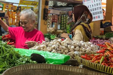 Stok bawang putih di Yogyakarta cukup untuk dua bulan