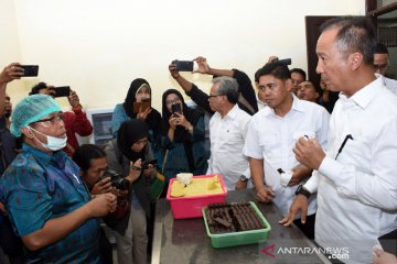 Teknologi cerdas Kemenperin pacu nilai tambah kakao dan kopi