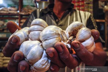 Legislator minta pemberian izin impor bawang dilakukan transparan