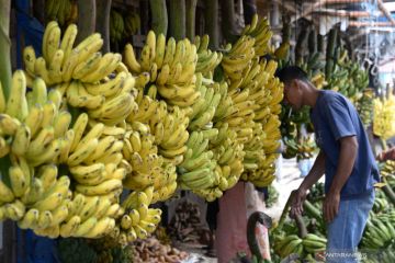 Serat dalam pisang bisa atur tekanan darah untuk kesehatan jantung
