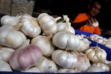 Bulog Riau siap distribusikan bawang putih jika ditunjuk pemerintah