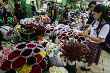 Harga bunga melonjak jelang Valentine