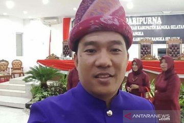 Partai Demokrat Bangka Selatan buka pendaftaran calon kepala daerah