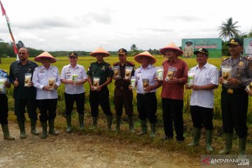 FAO-Kementan gandeng petani perbatasan Kalbar produksi beras sehat