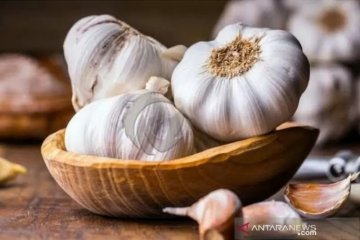 Pengamat berharap tidak ada kepentingan politik dalam impor bawang