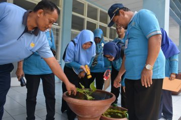 Yogyakarta imbau warga gencarkan PSN jelang musim hujan antisipasi DBD