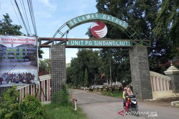 PG Sindanglaut tutup giling, petani tebu Cirebon resah