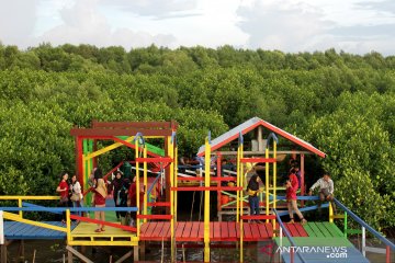 Ekowisata mangrove Lantebung di Makassar