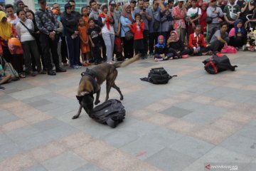 Edukasi kerja anjing pelacak