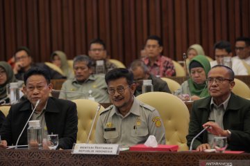 Pagu anggarannya tinggi, DPR pertanyakan "output" Balitbang Kementan