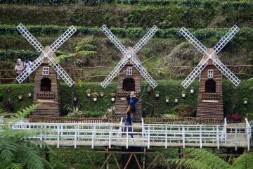Wisata kebun teh Pagilaran
