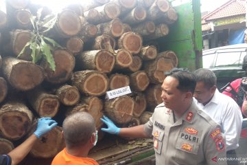 Polisi tangkap penadah kayu jati hasil pembalakan hutan Perhutani