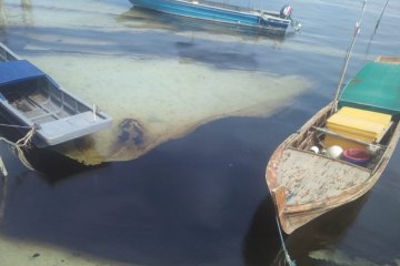 Limbah minyak hitam kembali cemari Pantai Bintan