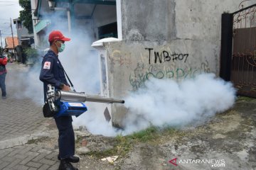 PMI Tangerang lakukan pencegahan dini penyebaran DBD dan  cikungunya