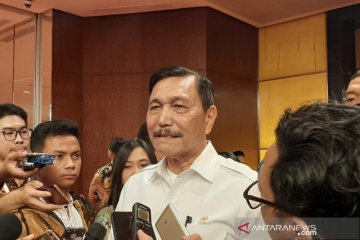 Luhut sebut investasi dari China tertunda akibat virus corona