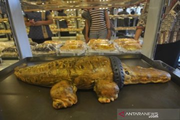 Roti buaya terjerat ban