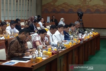 BUMN miliki peran ganda penuhi nilai ekonomi dan pelayanan masyarakat