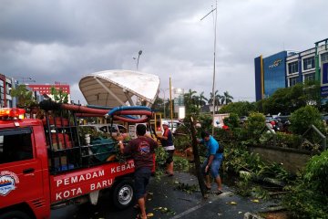 Angin kencang landa Pontianak, dua korban dirawat tertimpa dahan