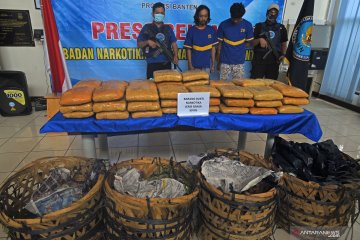 BNN Banten gagalkan peredaran 50 kg ganja jaringan lapas