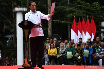 Presiden minta masyarakat sulap perhutanan sosial lebih produktif