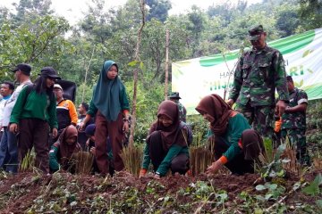 Cegah longsor di Gunung Wilis, TNI-Perhutani dan pemda tanam pohon