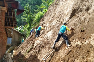 BPBD Banjarnegara tanam vetiver di lokasi rawan longsor