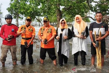 Cegah abrasi, Basarnas Mamuju tanam pohon bakau