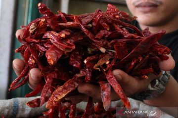 Harga cabai merah kering naik drastis