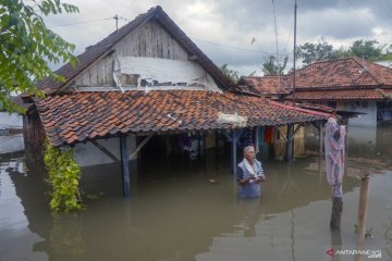 Pekalongan terendam banjir