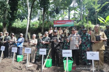 Malang gencarkan penanaman vetiver untuk cegah longsor