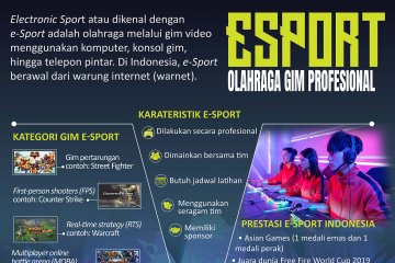 E-Sport, olahraga gim profesional