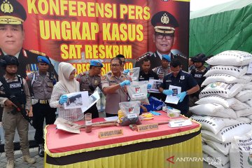 Kapolresta Sidoarjo: Pupuk ilegal dipasarkan di luar Jawa