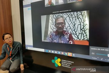 Pemerintah siapkan evakuasi WNI Diamond Princess dengan pesawat Garuda