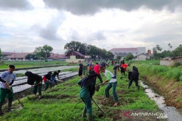 Polbangtan Medan siapkan mahasiswanya ke perbatasan Indonesia-Malaysia