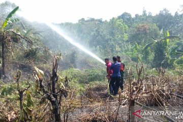 Karhutla di Pulau Sebatik tewaskan seorang petani