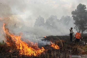 Jumlah tersangka karhutla Riau bertambah jadi 21 orang