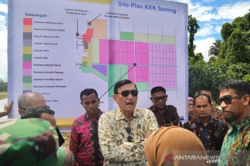 Luhut minta pembangunan smelter di KEK Sorong dipercepat