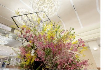 Keio Plaza Hotel rayakan kedatangan musim semi dan bunga sakura dengan rangkaian bunga cantik, makanan lezat dan seni sakura digital