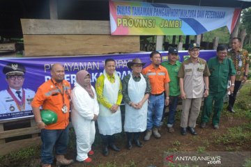 Jambi siap sukseskan program "Sikomandan" menuju swasembada daging